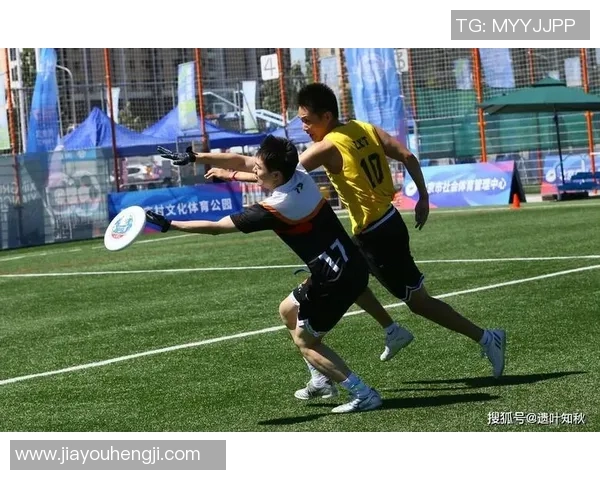 飞盘盛宴：深入了解北京飞盘队的实力与魅力