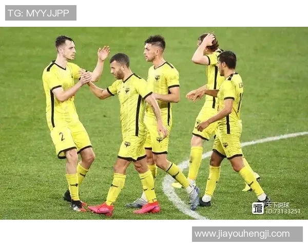 布里斯班与惠灵顿2019年精彩对决回顾与分析